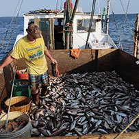 Customer receiving local seafood and knowing where it came from