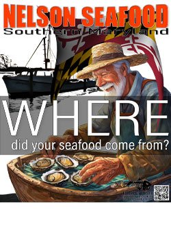 Nelson Seafood oysters merchandise design